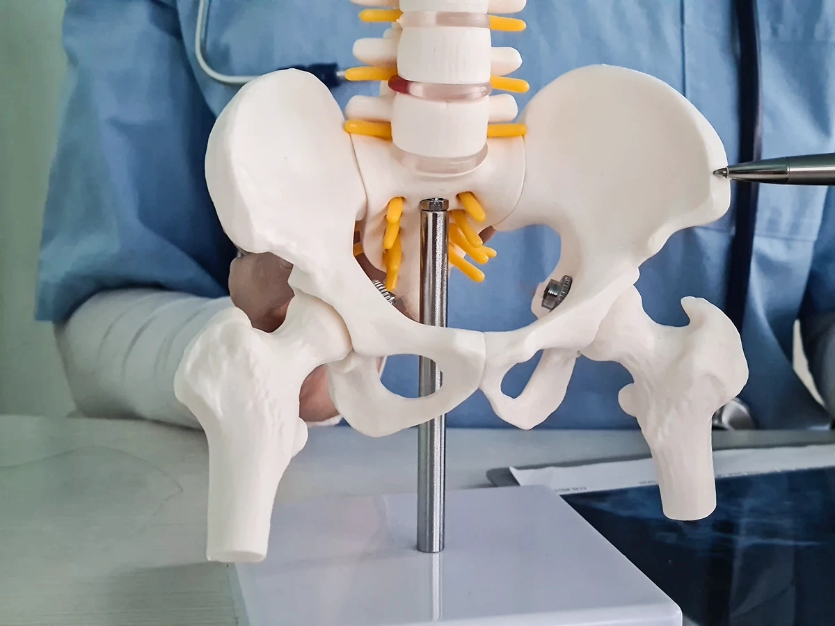 Pakiety Fizjoterapii