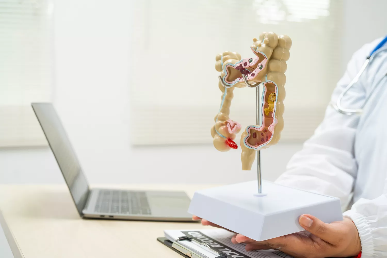 Badania Przewodu Pokarmowego Gdańsk - Alfa Clinic Centrum Medyczne (Gastroenterologia)