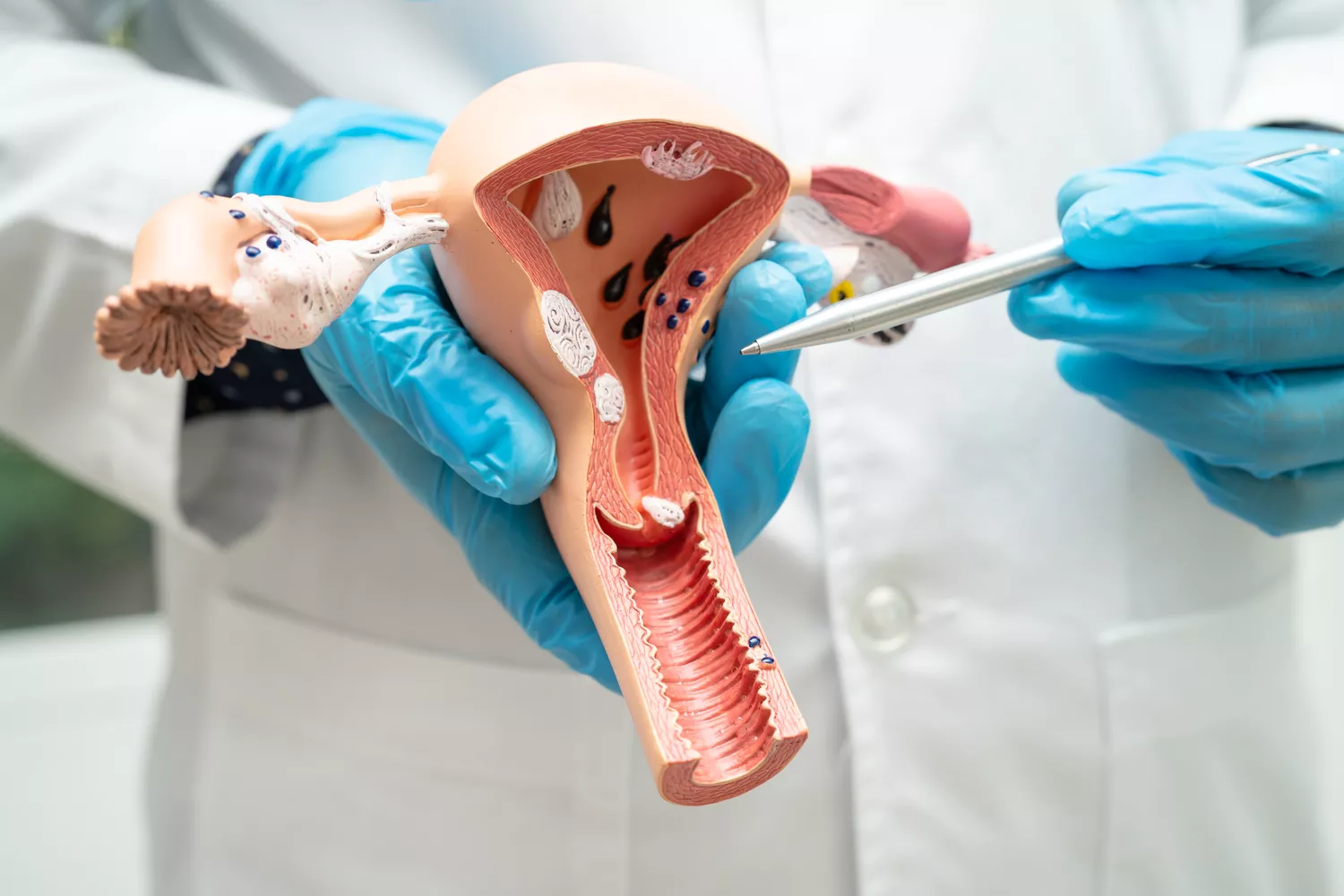 Badania urologiczne Gdańsk - Alfa Clinic Centrum Medyczne (Urologia)