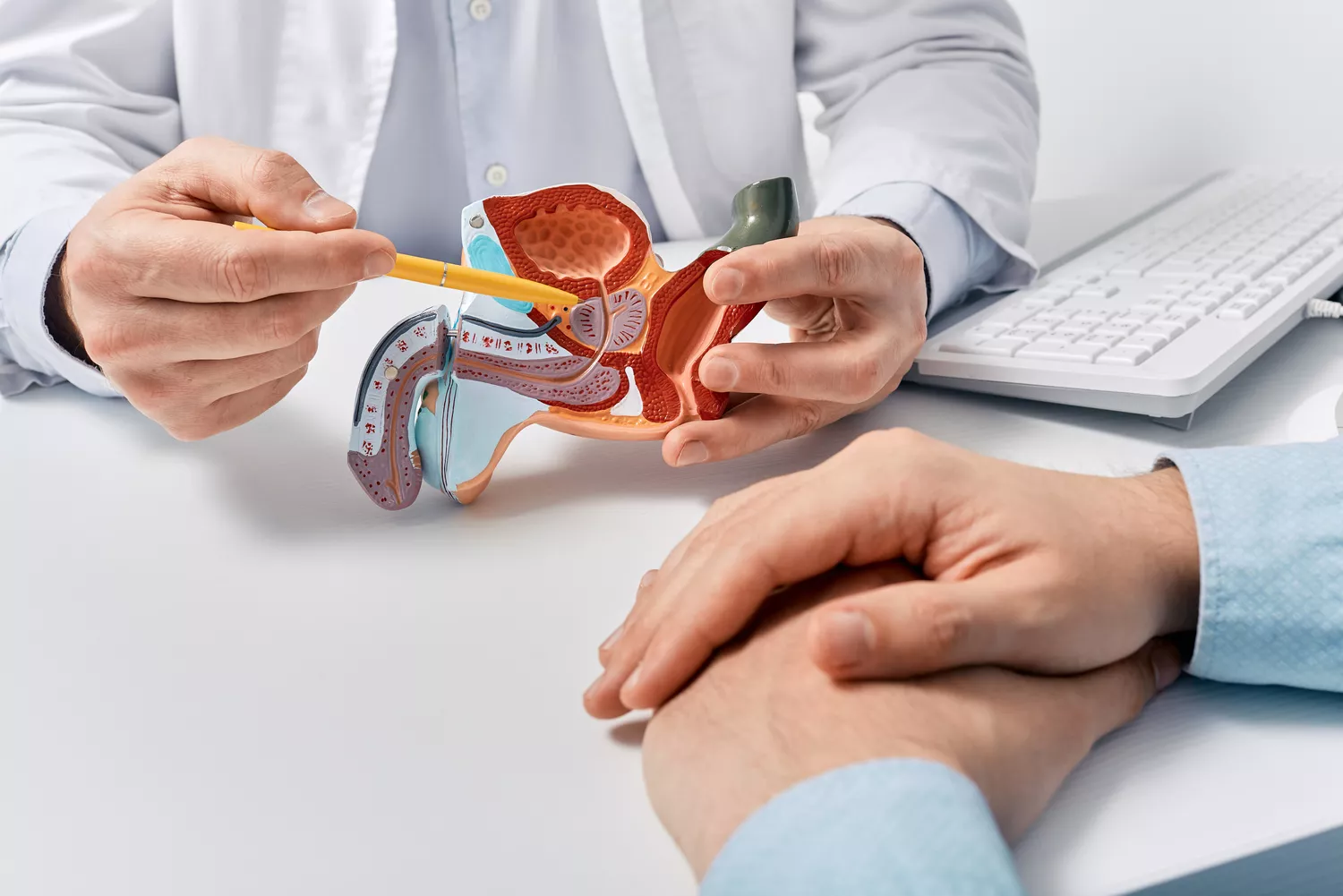 Badania urologiczne Gdańsk - Alfa Clinic Centrum Medyczne (Urologia)