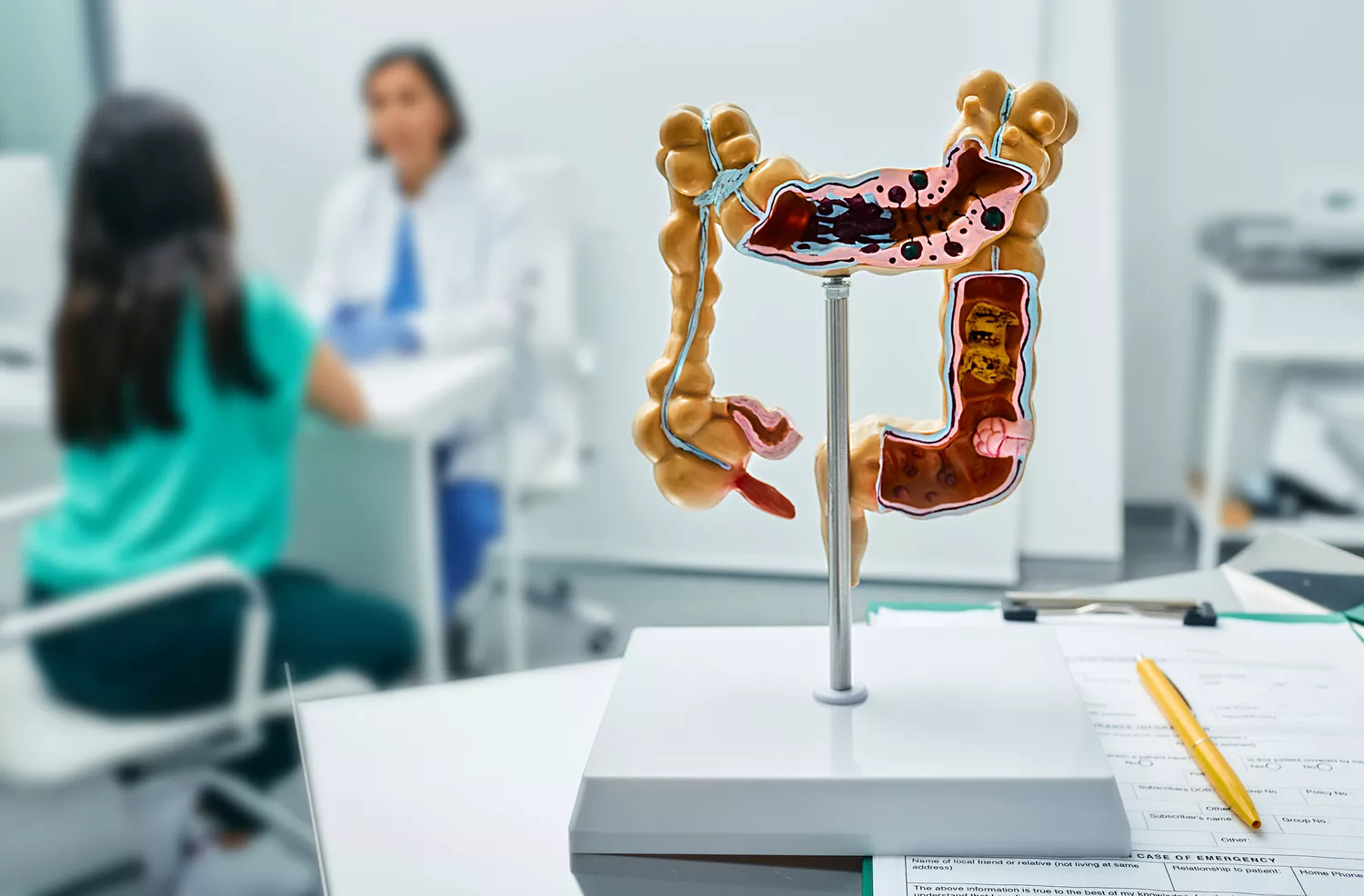 Choroby Jelita Gdańsk - Alfa Clinic Centrum Medyczne (Gastroenterologia)