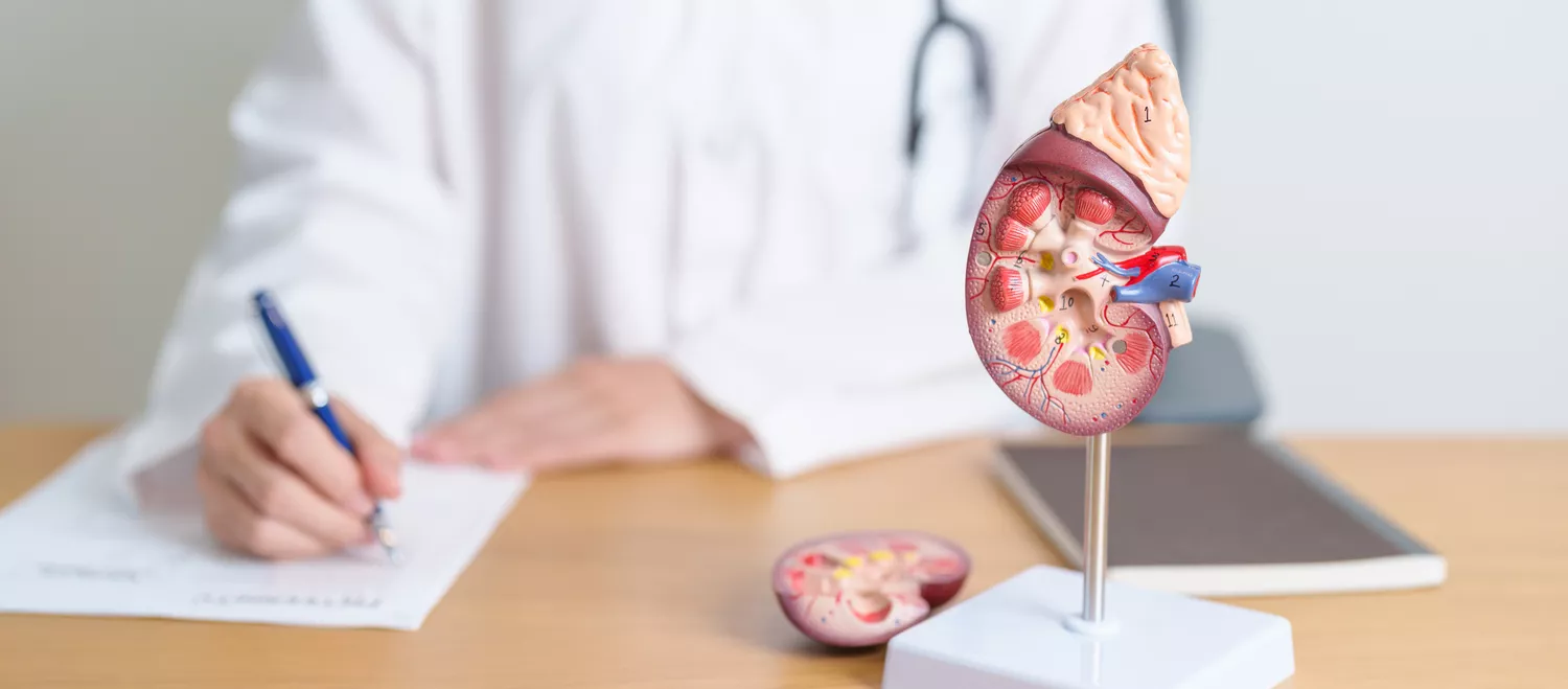 Cystoskopia Gdańsk - Alfa Clinic Centrum Medyczne (Urologia)