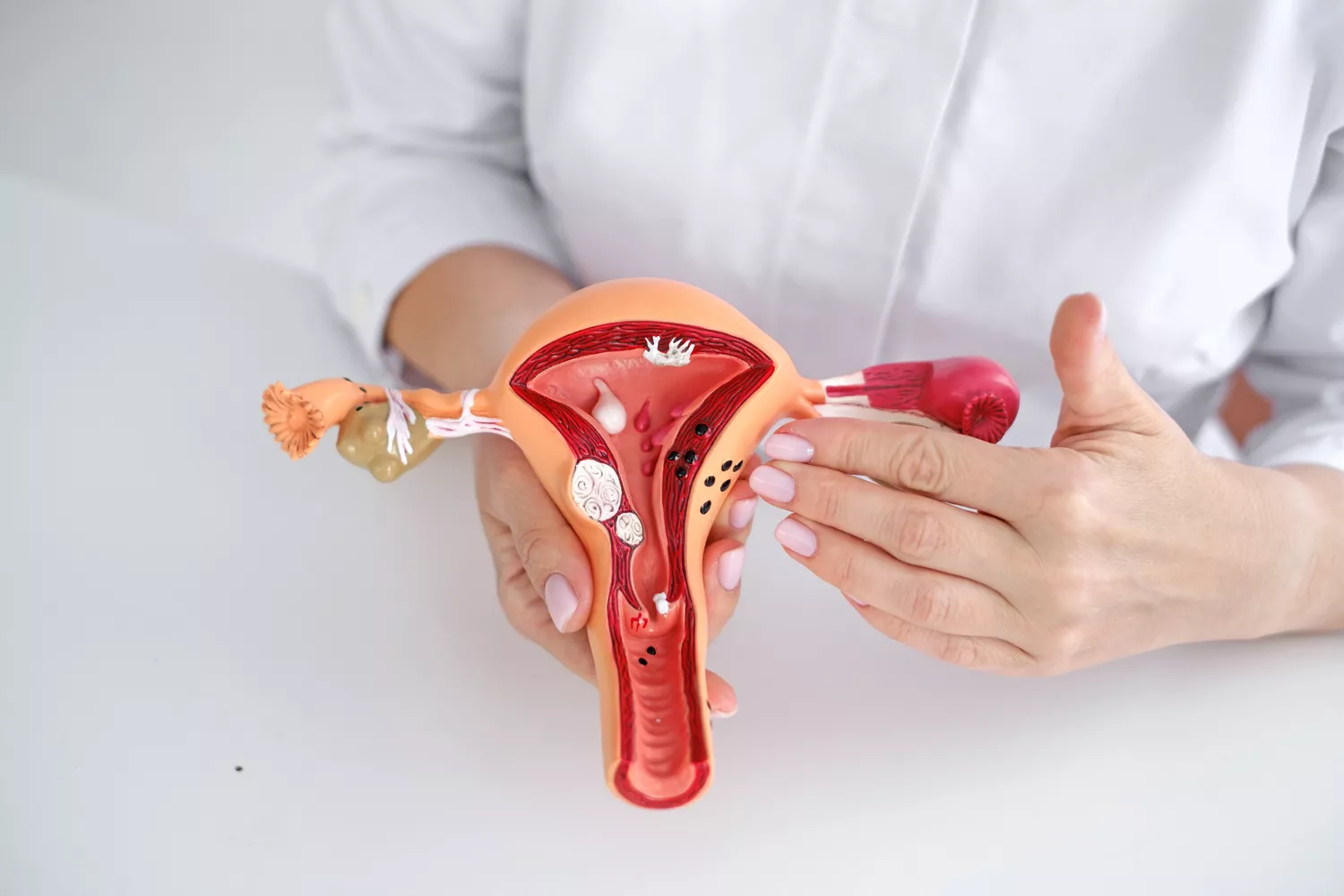 Ginekolog Dziecięcy Gdańsk - Alfa Clinic Centrum Medyczne (Ginekologia)