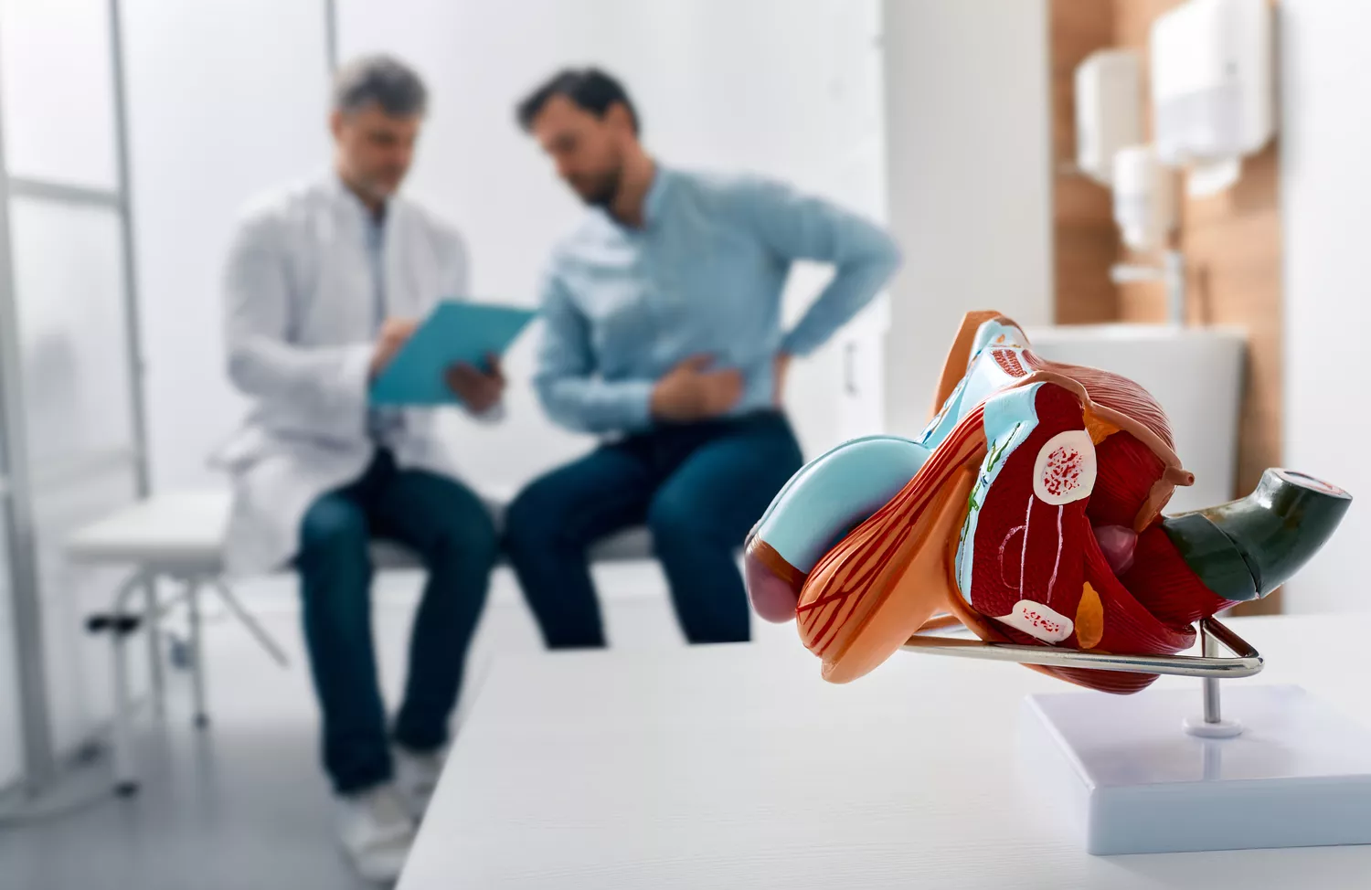Infekcje dróg moczowych Gdańsk - Alfa Clinic Centrum Medyczne (Urologia)