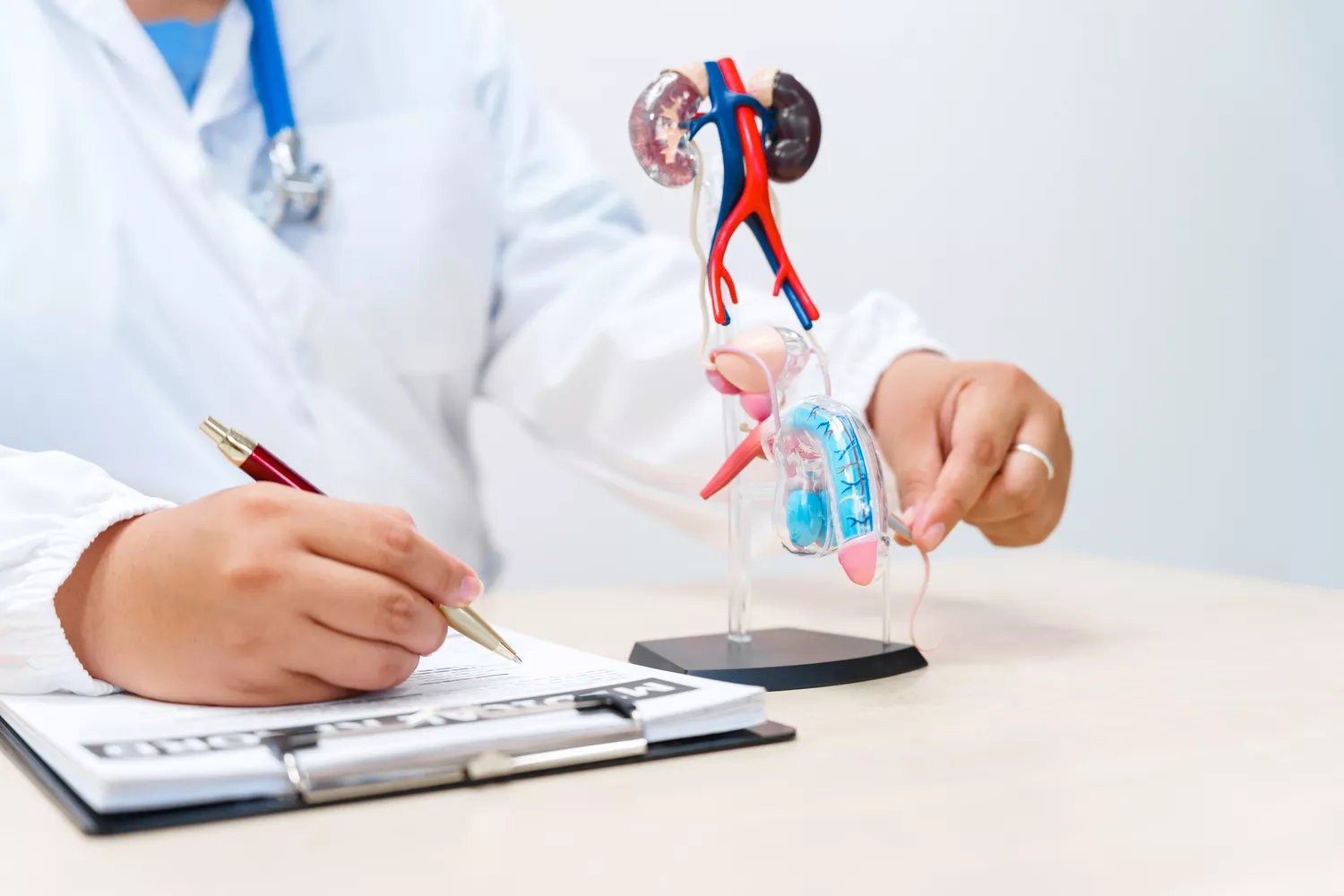 Leczenie prostaty Gdańsk - Alfa Clinic Centrum Medyczne (Urologia)
