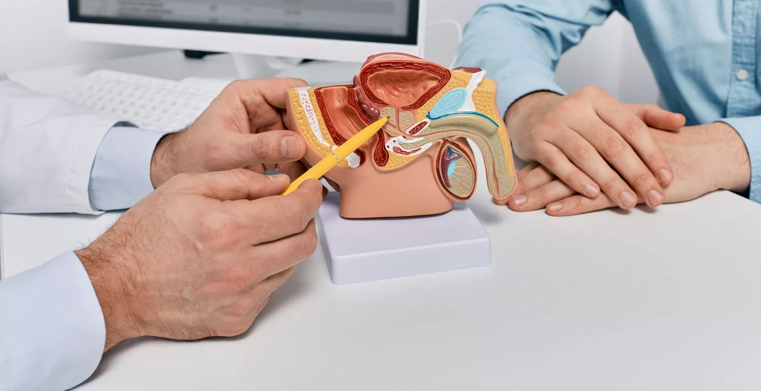 Leczenie prostaty Gdańsk - Alfa Clinic Centrum Medyczne (Urologia)