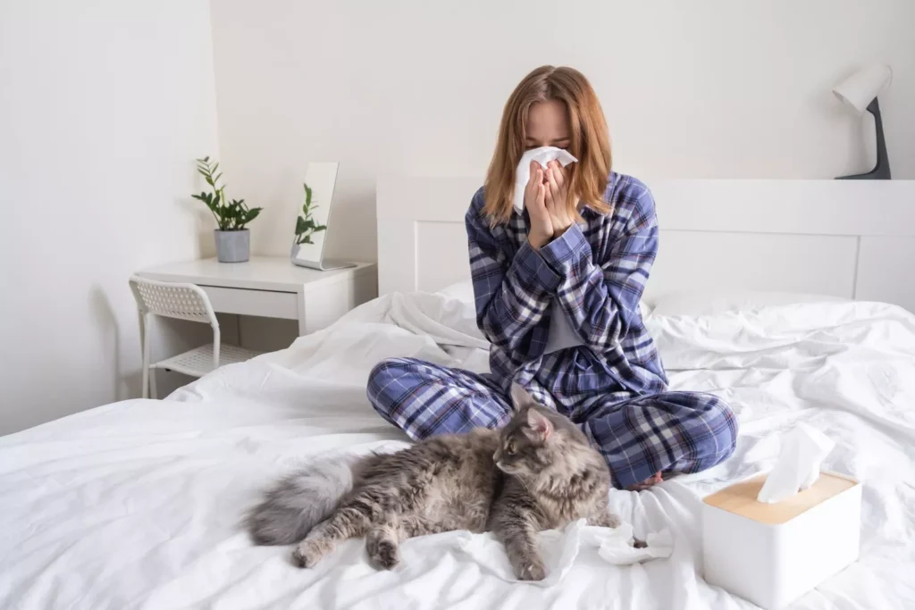 Odczulanie na Kota Gdańsk - Alfa Clinic Centrum Medyczne (Alergologia)