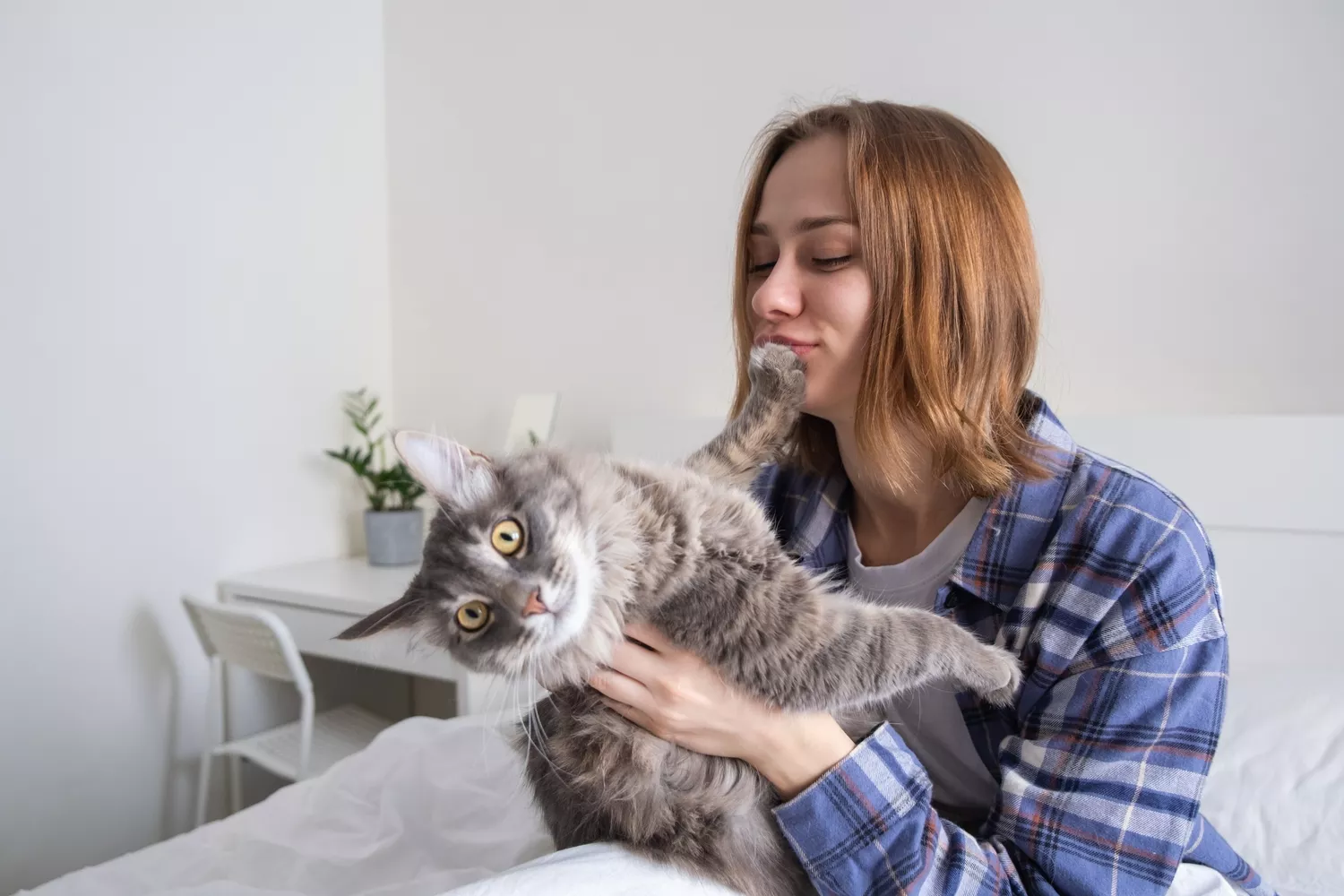 Odczulanie na Kota Gdańsk - Alfa Clinic Centrum Medyczne (Alergologia)
