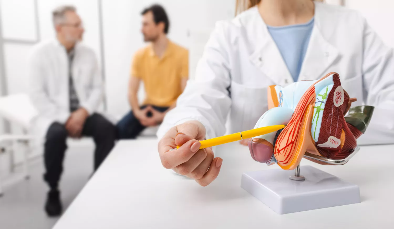 USG Jąder Gdańsk - Alfa Clinic Centrum Medyczne (Radiologia)