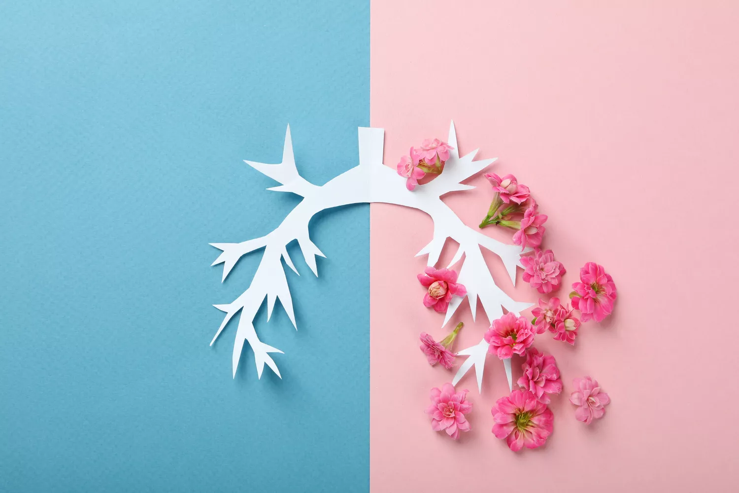 Diagnostyka astmy oskrzelowej Gdańsk - Alfa Clinic Centrum Medyczne (Alergologia)