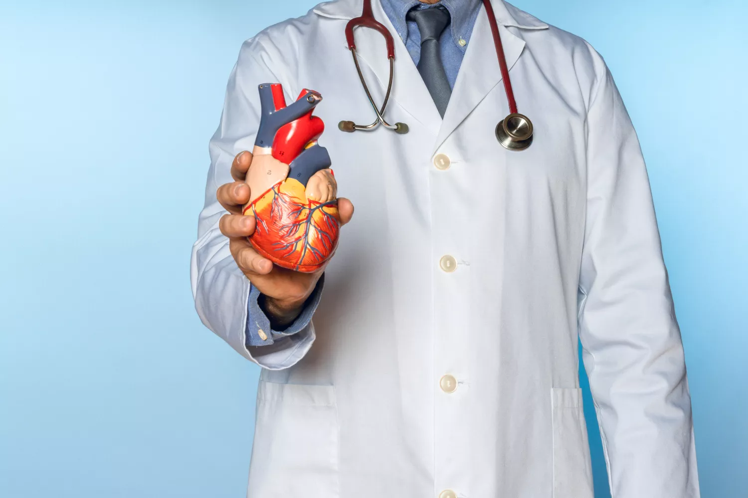 Diagnostyka i leczenie choroby wieńcowej Gdańsk - Alfa Clinic Centrum Medyczne (Kardiologia)