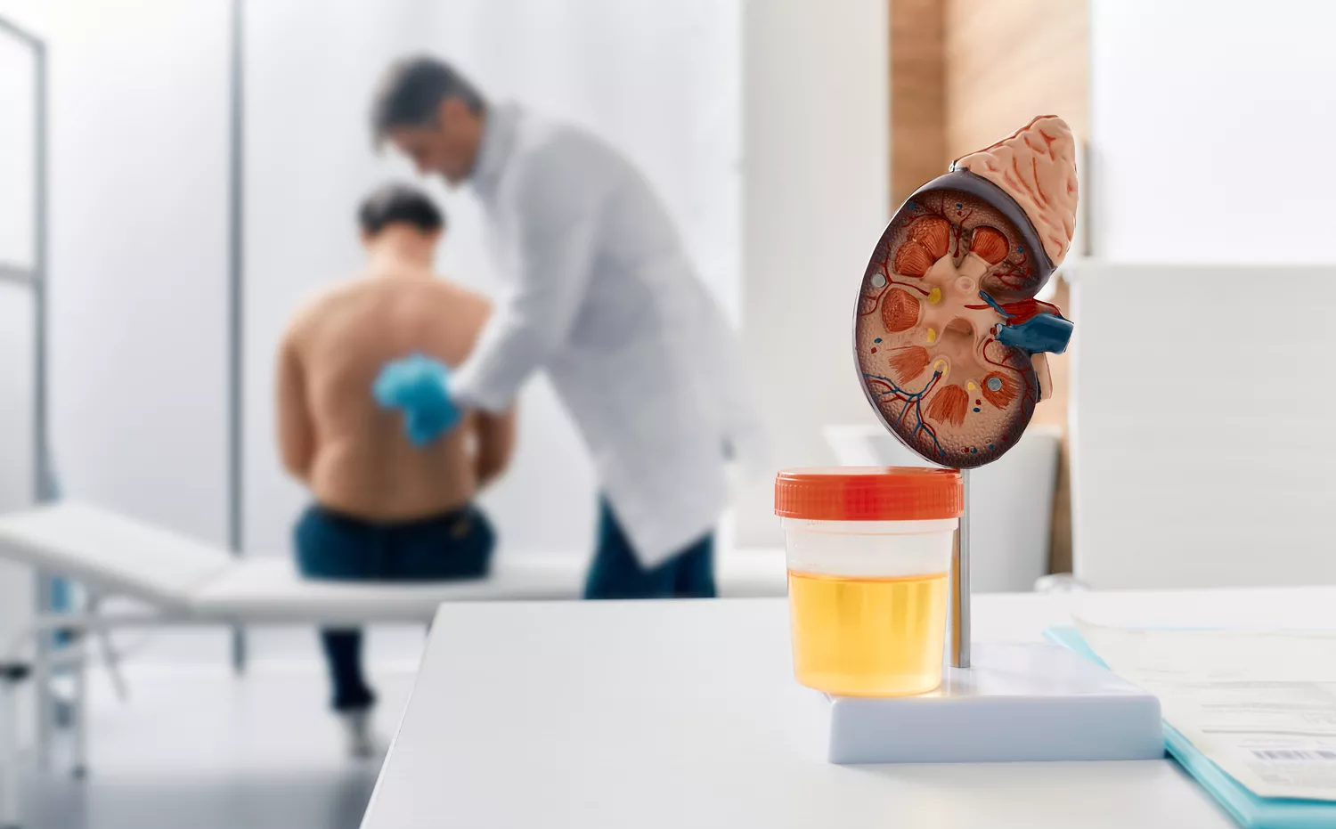 Diagnostyka i leczenie kamicy moczowej Gdańsk - Alfa Clinic Centrum Medyczne (Urologia)