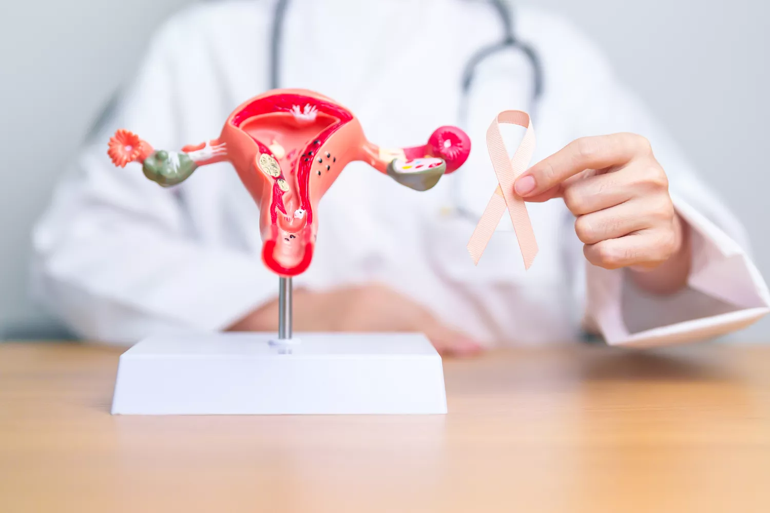 Diagnostyka mięśniaków macicy Gdańsk - Alfa Clinic Centrum Medyczne (Ginekologia)