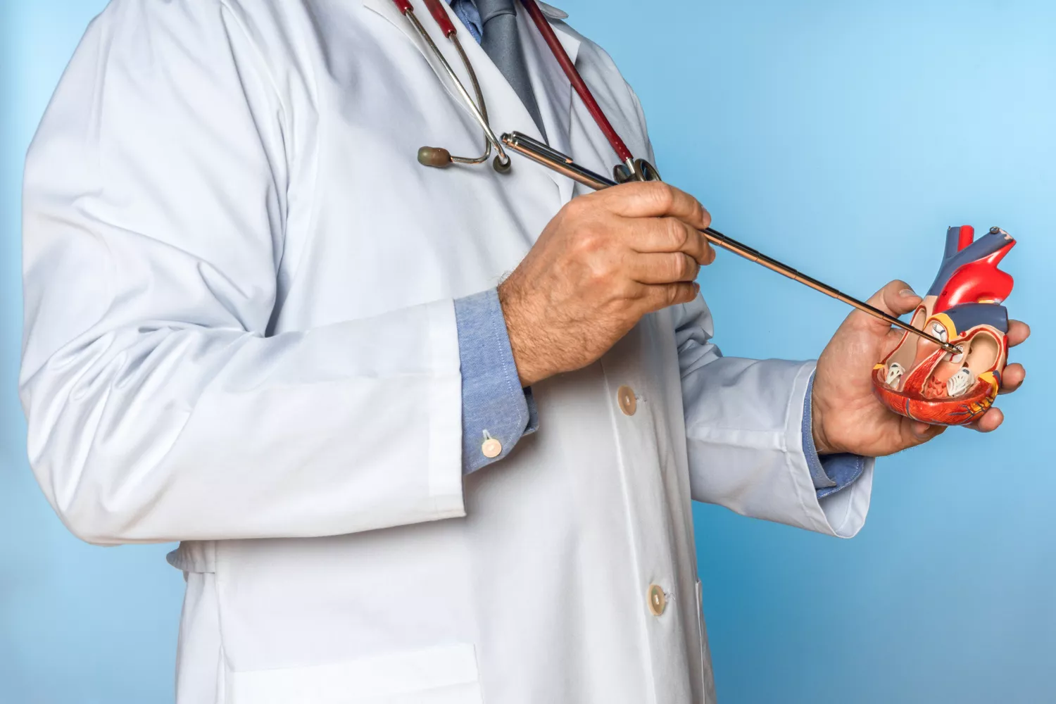 Leczenie miażdżycy Gdańsk - Alfa Clinic Centrum Medyczne (Kardiologia)