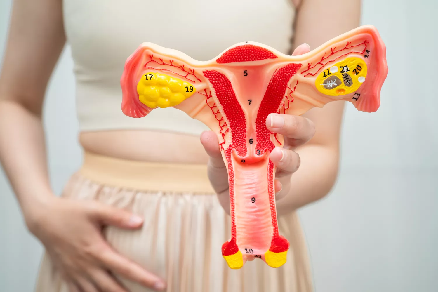 Leczenie nadżerek szyjki macicy Gdańsk - Alfa Clinic Centrum Medyczne (Ginekologia)