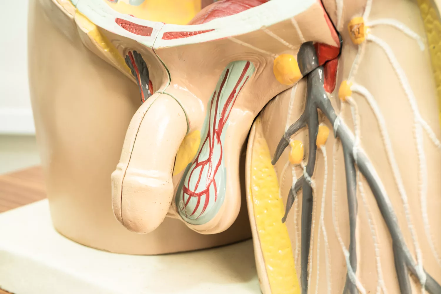 Leczenie zapalenia najądrza i jądra Gdańsk - Alfa Clinic Centrum Medyczne (Urologia)